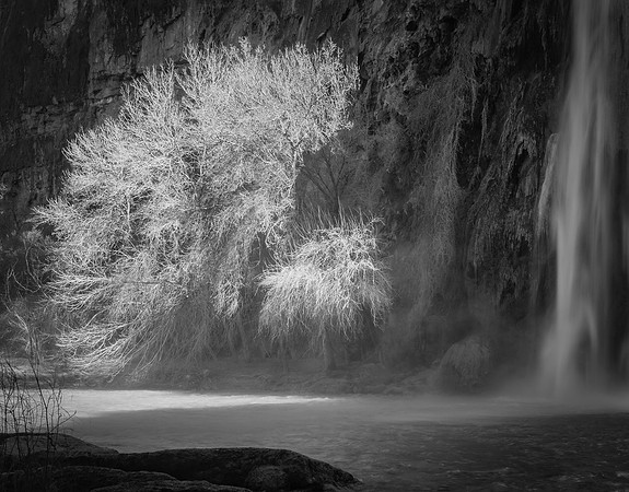 9920 Afternoon Light at Havasu Falls