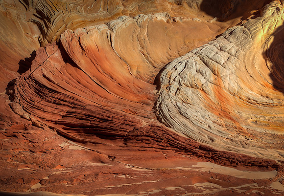 3676 Wings in the Sandstone