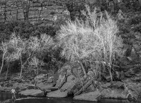 2276 Red Rock Crossing, b&w