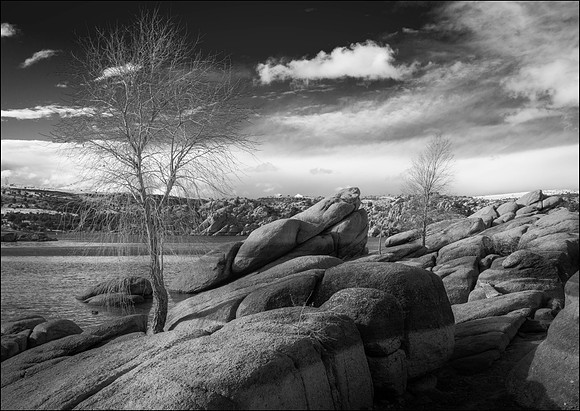 9706 Watson Lake, Two Cottonwoods