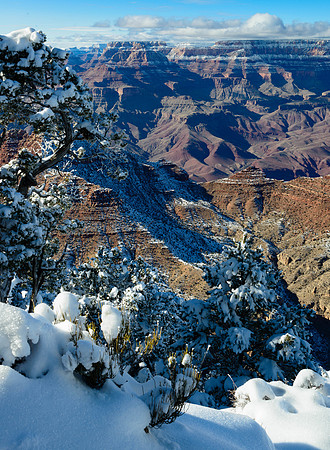 4383 Fresh Snow at Desert View