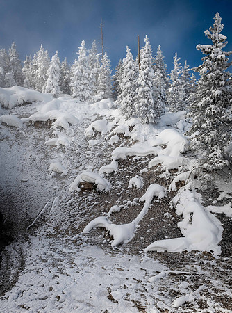 2101 Frosted Trees Next to Steam Vent