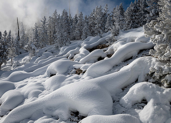 2118 Snow Pillows and Frosted Trees