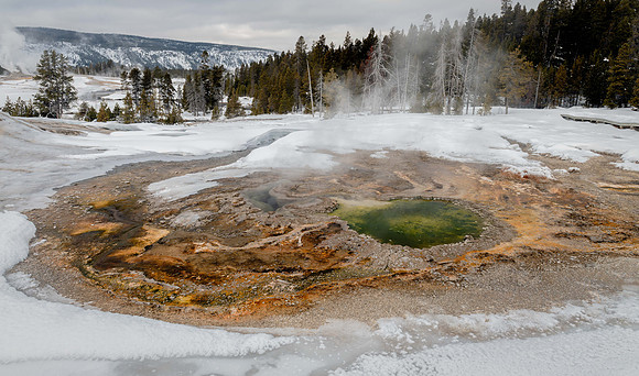 2501 Upper Geyser Basin
