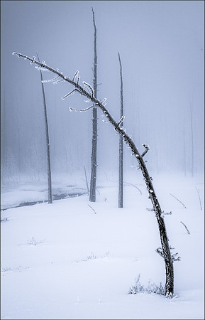 0244 Bent But Not Broken