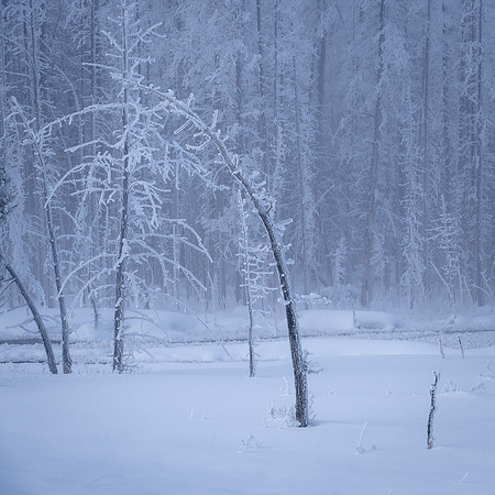 0269 It was cold and blue