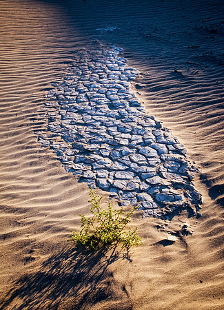 6189 Mesquite Dunes, Sunset