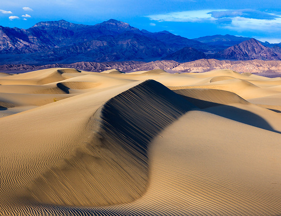 8107 Afternoon Dunes