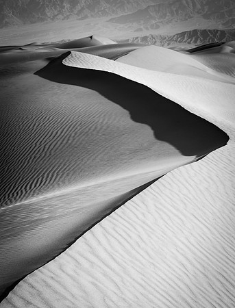 2957 Dune Edge