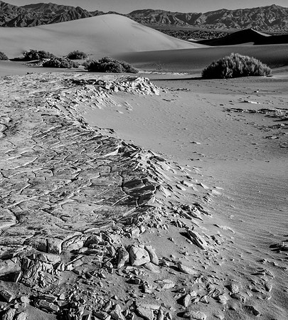 9747 Mesquite Dunes