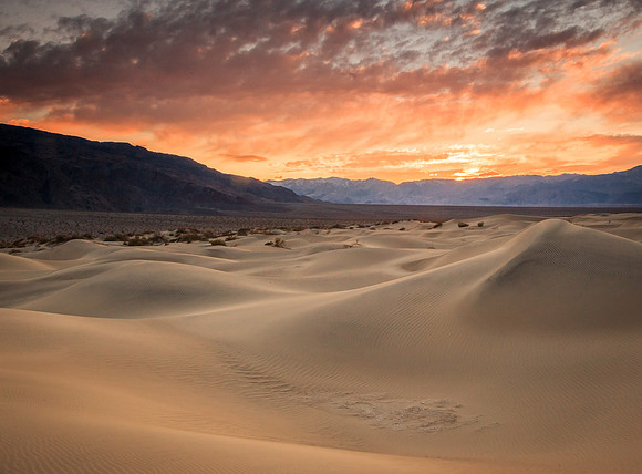 8124 Sunset, Mesquite Dunes