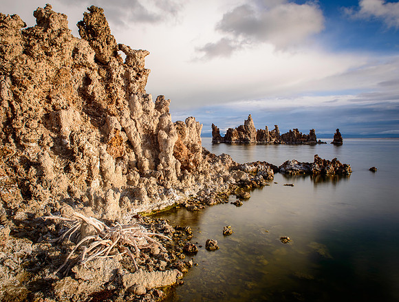 1400 Mono Lake, Tufa Near and Far