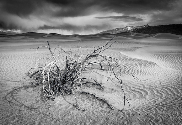 6013 Mesquite Dunes, Storm